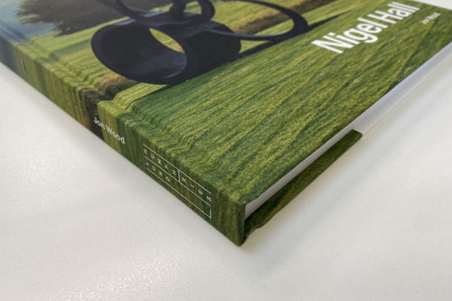 Nigel Hall : Sculptures and Drawings book