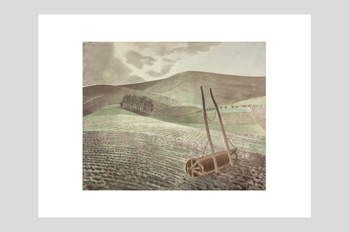Downs in Winter