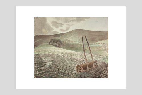Downs in Winter