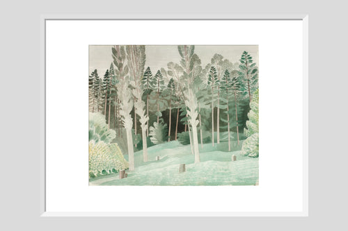 Lombardy Poplars - Custom Print