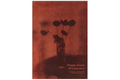 Poppy Jones : Frozen Sun A2 exhibition poster print