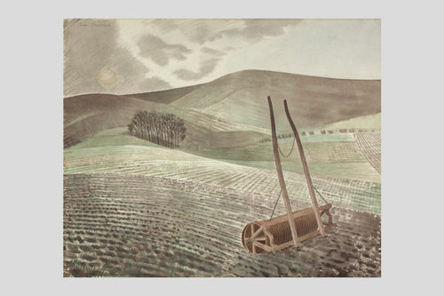 Downs in Winter