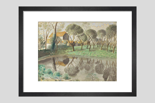 Newt Pond - Custom Print