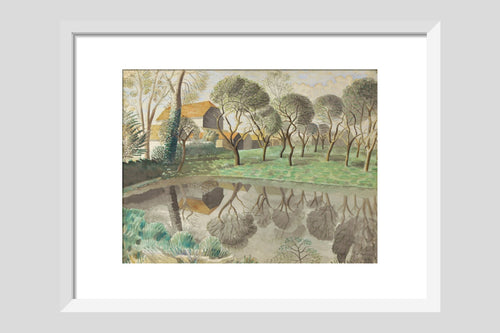 Newt Pond - Custom Print