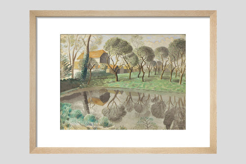 Newt Pond - Custom Print