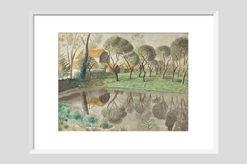 Newt Pond - Custom Print