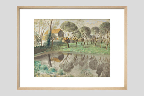 Newt Pond - Custom Print