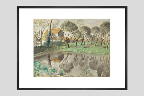 Newt Pond - Custom Print