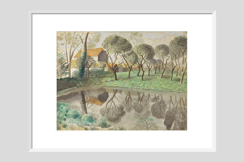 Newt Pond - Custom Print