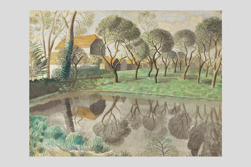 Newt Pond - Custom Print