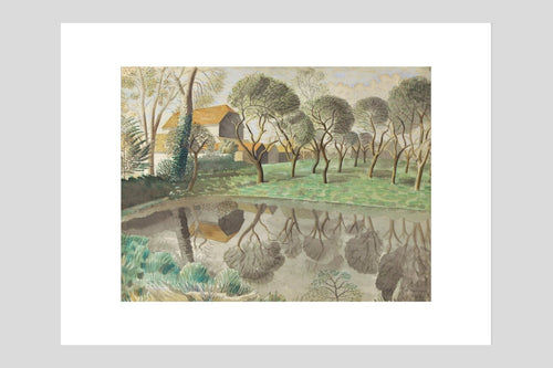 Newt Pond - Custom Print