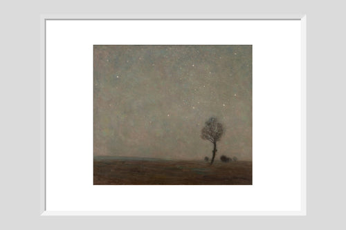 Starlight Landscape - Custom Print