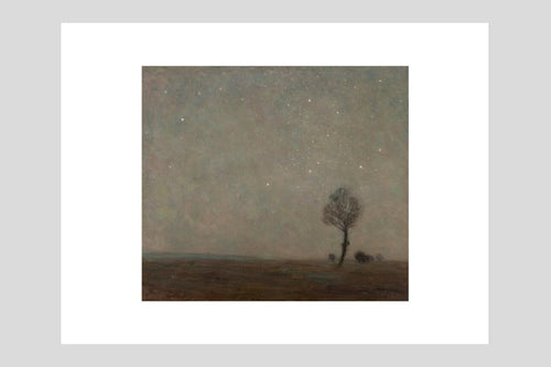 Starlight Landscape - Custom Print